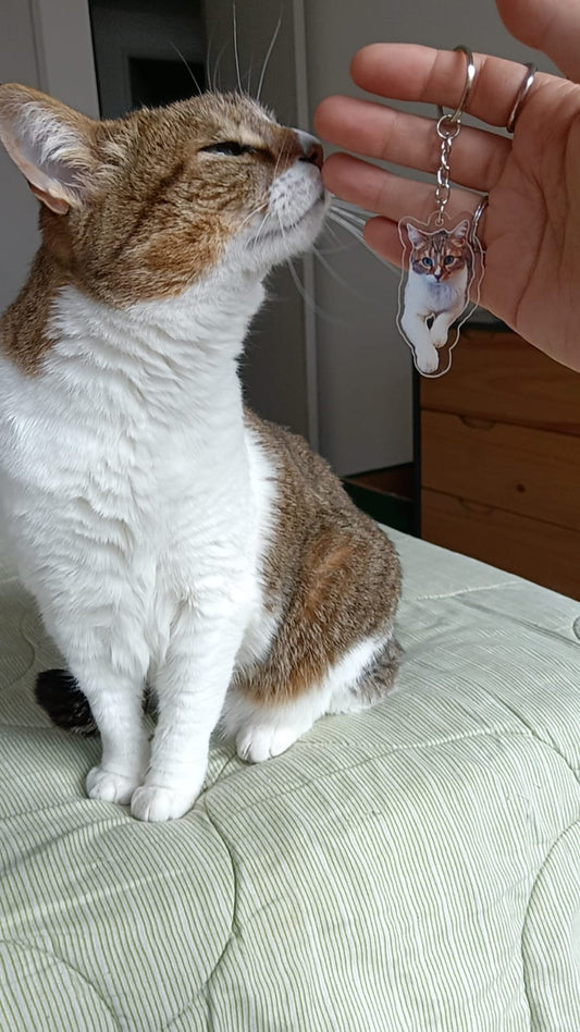 Llaveros acrílicos personalizados