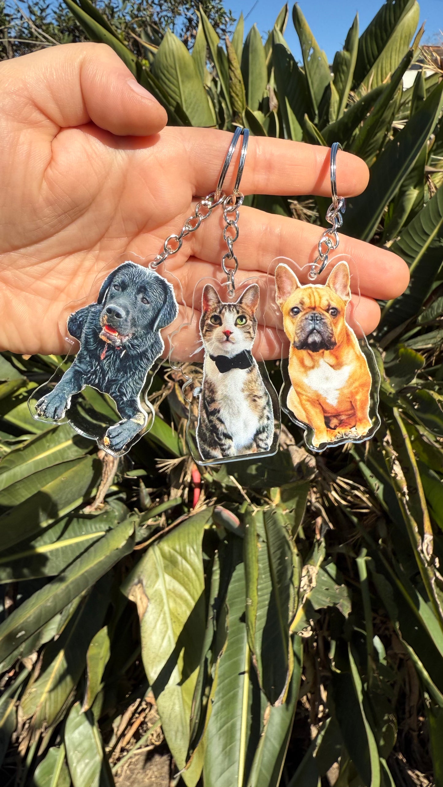 Llaveros acrílicos personalizados