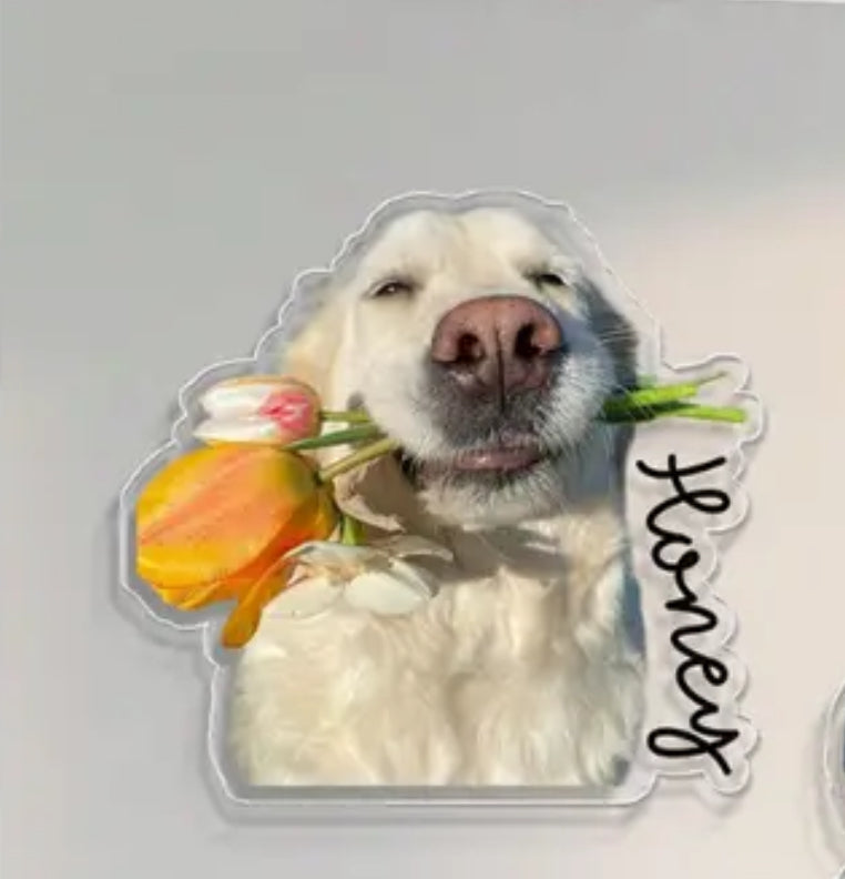 Imanes personalizados acrilicos